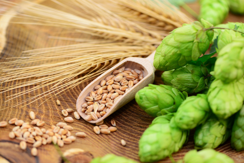 Hopfen und Malz